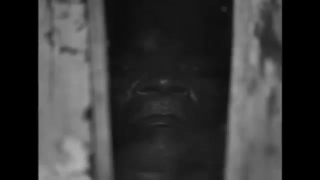 Still from the supplied O Profeta header video